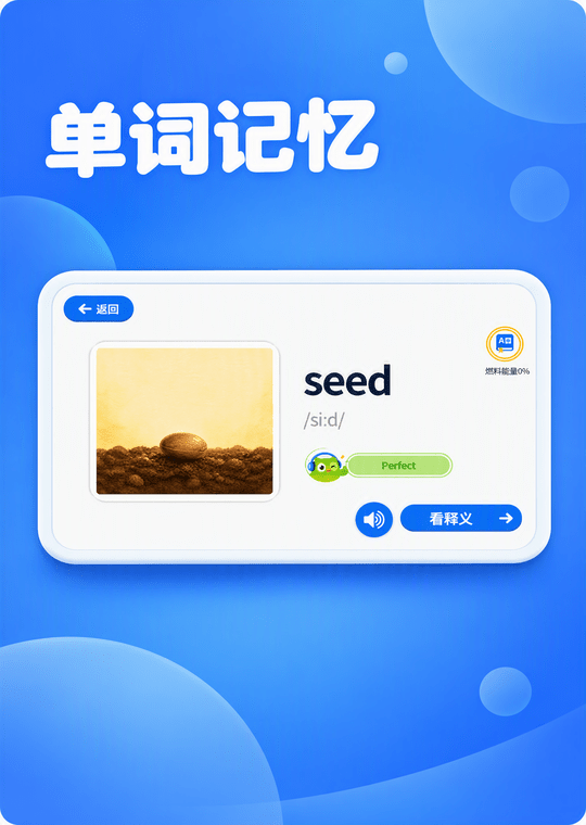 单词记忆
